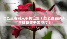 怎么查看别人手机位置（怎么查看别人手机位置无需授权）