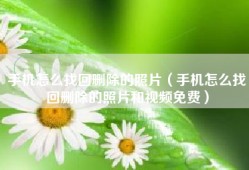 手机怎么找回删除的照片（手机怎么找回删除的照片和视频免费）