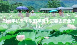 取消手机卡（取消手机卡需要去营业厅吗）