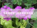 手机壁纸树（手机壁纸图片树）