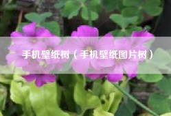 手机壁纸树（手机壁纸图片树）