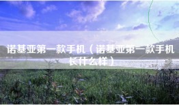 诺基亚第一款手机（诺基亚第一款手机长什么样）
