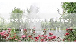 购华为手机（购华为手机推荐哪款）