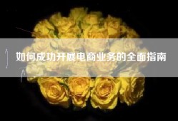 如何成功开展电商业务的全面指南