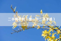 二手网手机（搜一下二手手机）