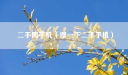 二手网手机（搜一下二手手机）