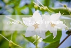 小米小手机（小米小手机有哪些）