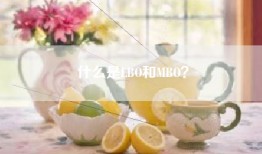 什么是LBO和MBO？
