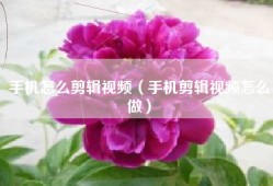 手机怎么剪辑视频（手机剪辑视频怎么做）