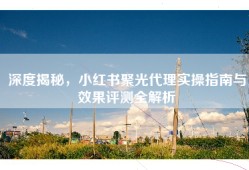 深度揭秘，小红书聚光代理实操指南与效果评测全解析