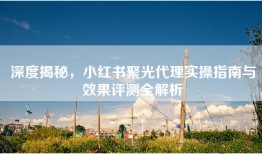 深度揭秘，小红书聚光代理实操指南与效果评测全解析