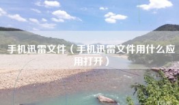 手机迅雷文件（手机迅雷文件用什么应用打开）