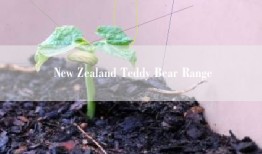 New Zealand Teddy Bear Range