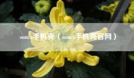sonix手机壳（sonix手机壳官网）