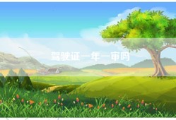 驾驶证一年一审吗