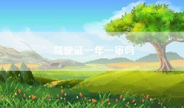驾驶证一年一审吗