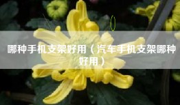 哪种手机支架好用（汽车手机支架哪种好用）