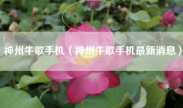 神州牛歌手机（神州牛歌手机最新消息）