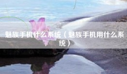 魅族手机什么系统（魅族手机用什么系统）