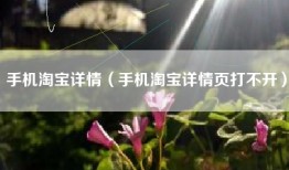 手机淘宝详情（手机淘宝详情页打不开）