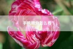 手机跑分怎么看