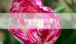 手机跑分怎么看