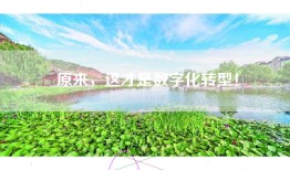 原来，这才是数字化转型！