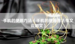 手机的使用方法（手机的使用方法作文说明文）