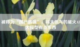 被称为“国产最强”，科大讯飞的星火AI大模型有点东西