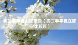 卖二手手机去哪里卖（卖二手手机在哪卖比较好）