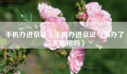 手机办进京证（手机办进京证今天办了今天能用吗）