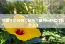 备份手机号码（备份手机号码的软件叫什么）