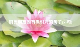 销售朋友圈有吸引力的句子(55句)
