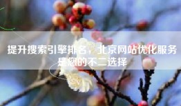提升搜索引擎排名，北京网站优化服务是您的不二选择