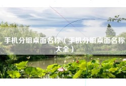手机分组桌面名称（手机分组桌面名称大全）