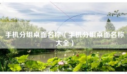 手机分组桌面名称（手机分组桌面名称大全）