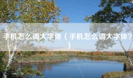 手机怎么调大字体（手机怎么调大字体？）