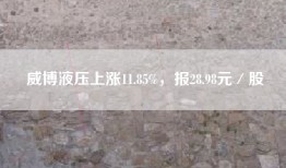 威博液压上涨11.85%，报28.98元／股