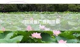 58同城推广费用详解