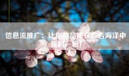 信息流推广：让你的品牌在广告海洋中独树一帜！