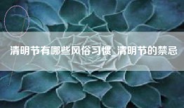 清明节有哪些风俗习惯_清明节的禁忌