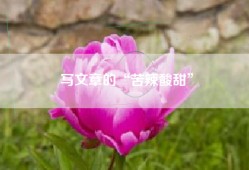 写文章的“苦辣酸甜”