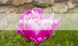 写文章的“苦辣酸甜”