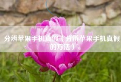 分辨苹果手机真假（分辨苹果手机真假的方法）