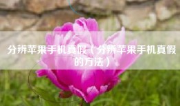分辨苹果手机真假（分辨苹果手机真假的方法）
