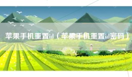 苹果手机重置id（苹果手机重置id密码）