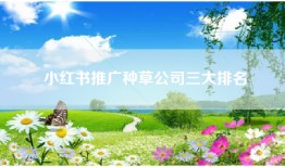 小红书推广种草公司三大排名