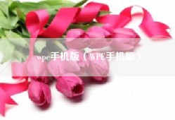 wpe手机版（WPE手机版）