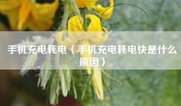 手机充电耗电（手机充电耗电快是什么原因）