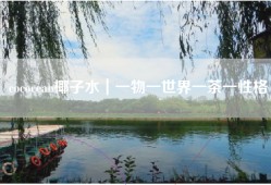 cococean椰子水｜一物一世界一茶一性格